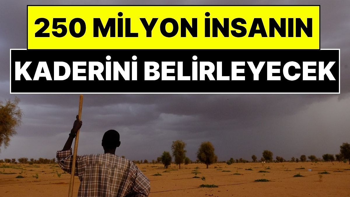 250 Milyon İnsanın Kaderini Belirleyecek Dev Proje: Afrika'yı Çöle Karşı Koruyan 'Büyük Yeşil Duvar'