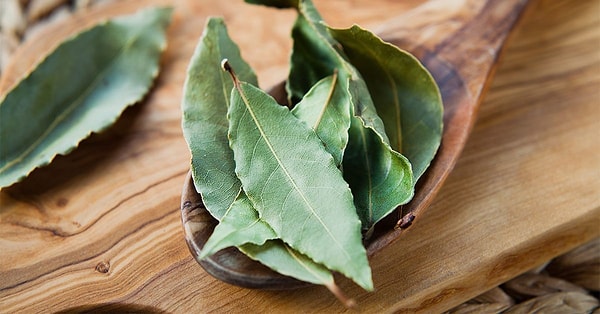 Kurutulmuş defne yapraklarının evde yakılması, rahatlamayı teşvik eden, stresi azaltan ve ruh halini iyileştiren tedavi edici bir aroma yayar.
