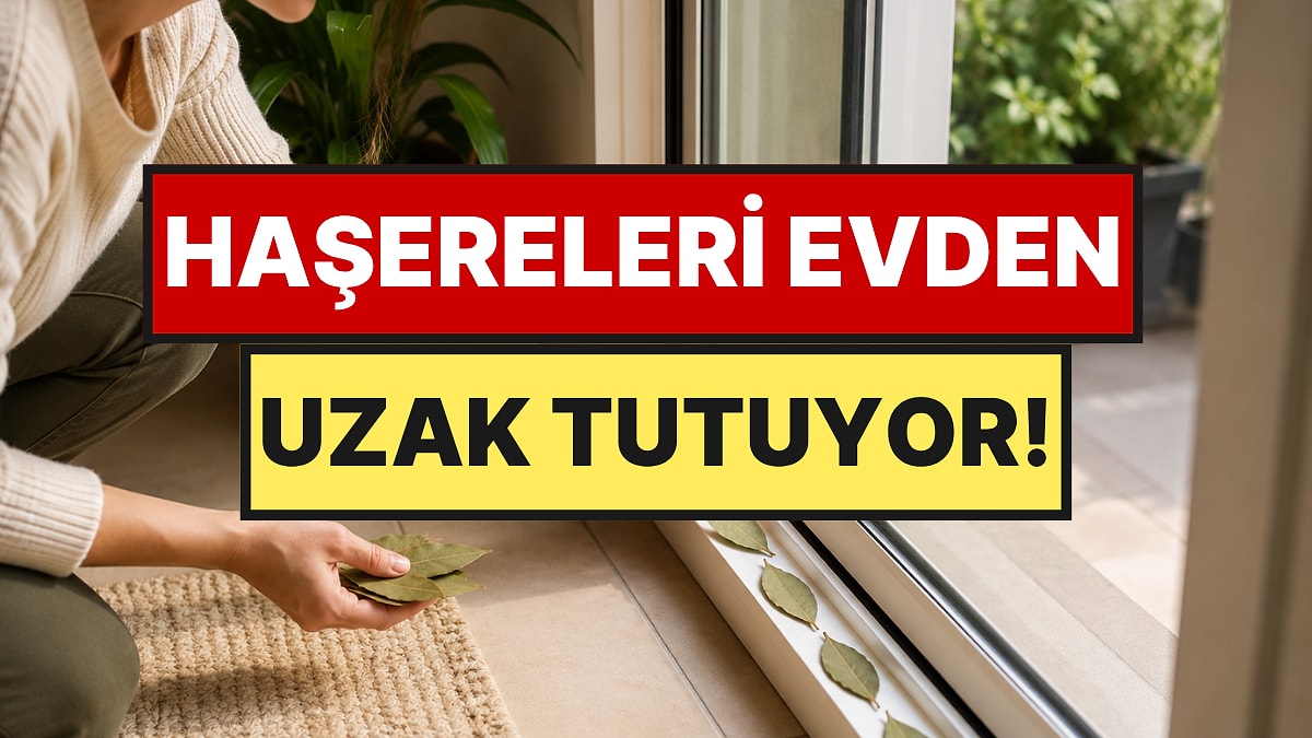 Kapı ve Pencere Kenarlarına Defne Yaprağı Koyun: Hamamböceği ve Karıncalar İçeri Giremiyor