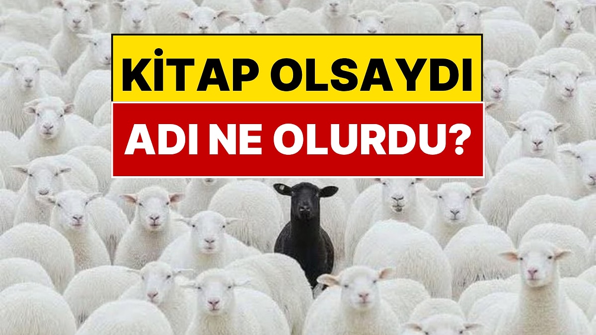 Bu Fotoğraf Kitap Kapağı Olsaydı O Kitabın Adı Ne Olurdu?