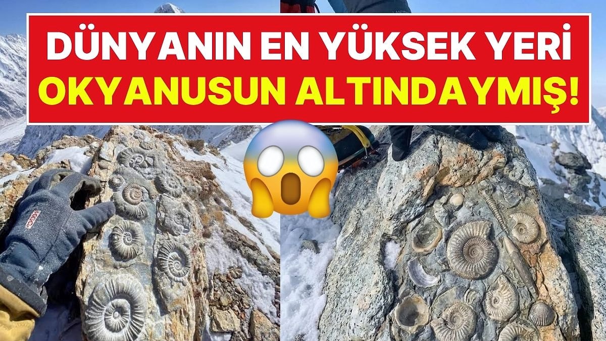 Zirvedeki Okyanus: Dünyanın En Yüksek Noktası Everest, Bir Zamanlar Denizin Dibindeydi!
