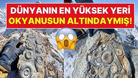 Zirvedeki Okyanus: Dünyanın En Yüksek Noktası Everest, Bir Zamanlar Denizin Dibindeydi!