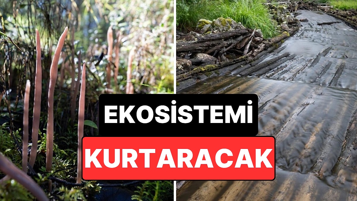 Helikopterlerle Nehre Tonlarca Kum ve Çakıl Bırakıldı