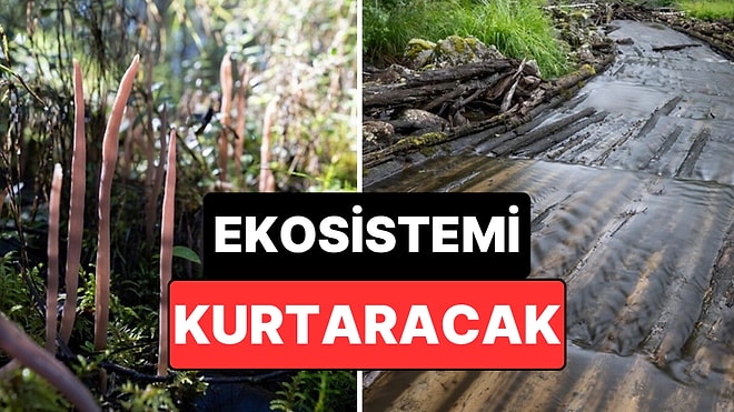 Helikopterlerle Nehre Tonlarca Kum ve Çakıl Bırakıldı