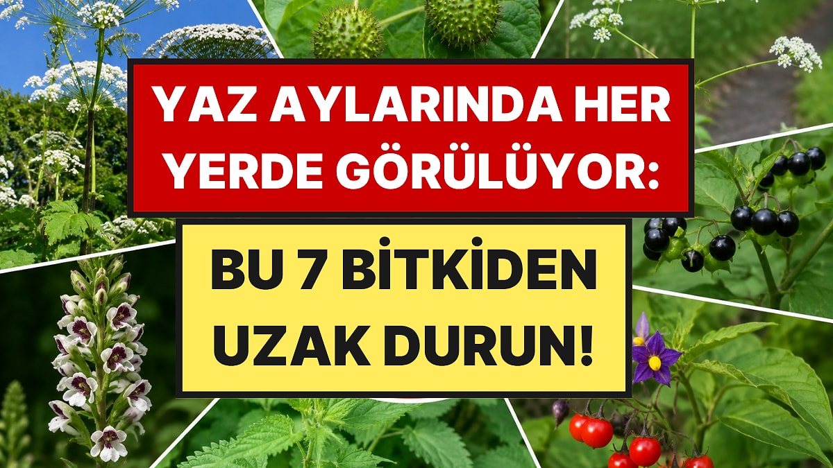 Çıplak Elle Asla Dokunmamanız Gereken 7 Bitki Açıklandı