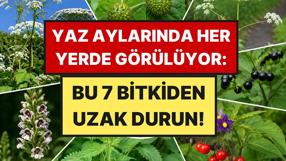 Çıplak Elle Asla Dokunmamanız Gereken 7 Bitki Açıklandı
