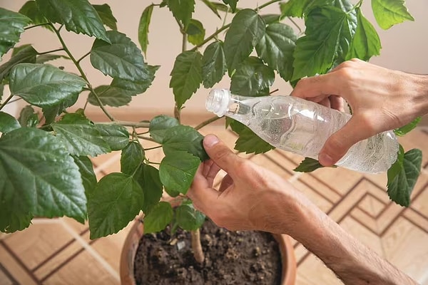 This straightforward procedure will only take a few minutes of your time to implement at home: