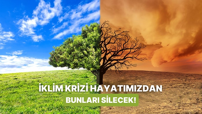 ‘Yok Artık Bu da mı İklim Krizinden?’ Diyeceğiniz Günlük Hayatımızdan Tamamen Silinmek Üzere Olan 10 Şey