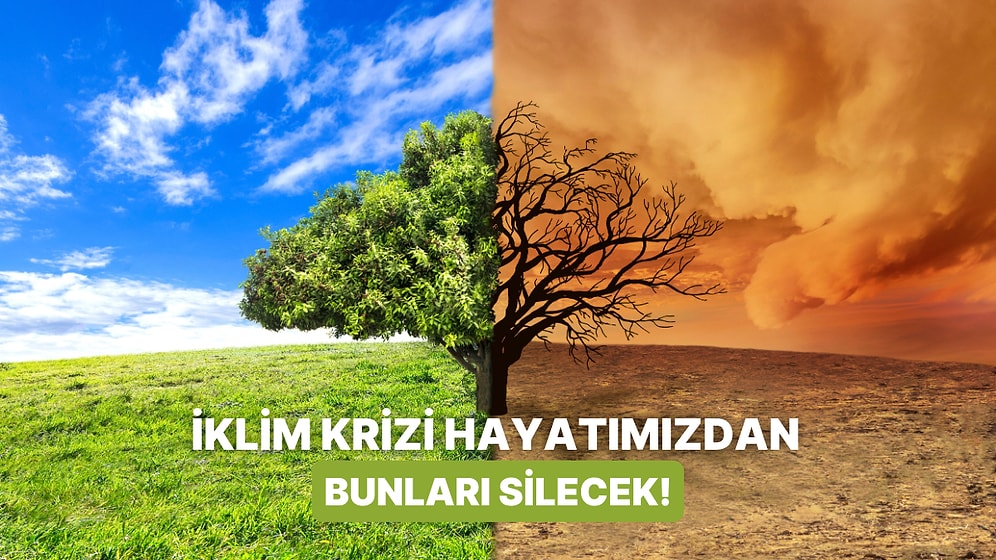 ‘Yok Artık Bu da mı İklim Krizinden?’ Diyeceğiniz Günlük Hayatımızdan Tamamen Silinmek Üzere Olan 10 Şey