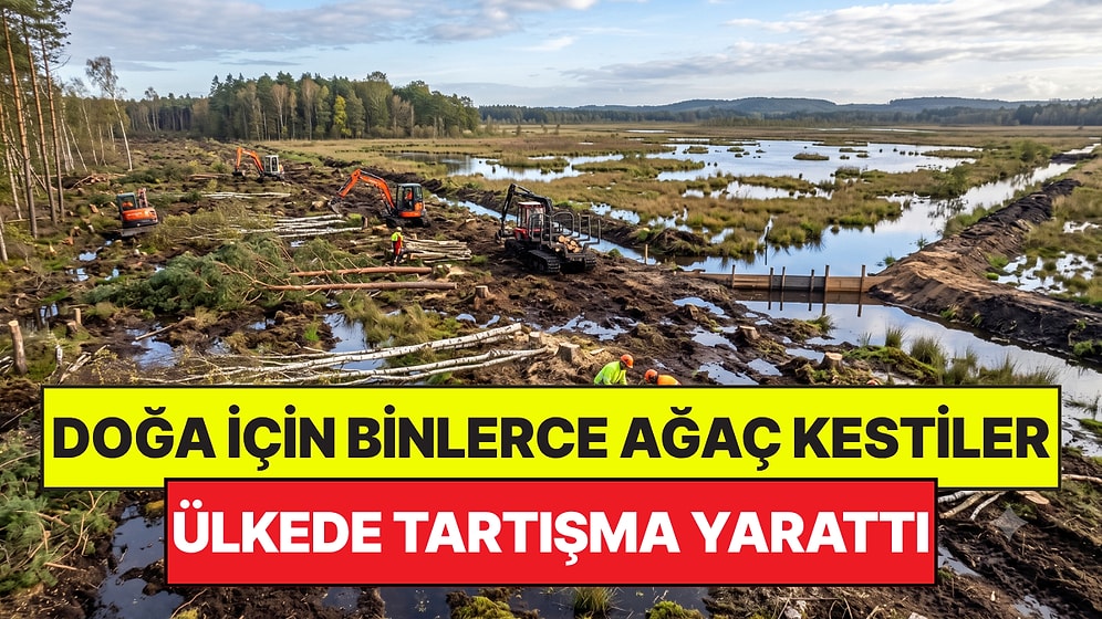 Doğayı Korumak İçin Ağaçları Kestiler: Sıra Dışı Çevre Projesi Ülkede Tartışma Yarattı