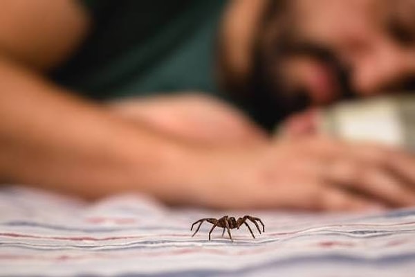 Ağıza girmesi de yutulması da çok düşük ihtimal