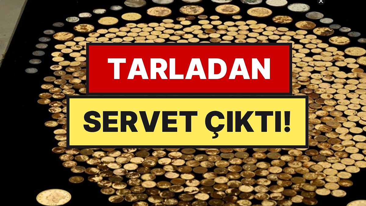 Tarlasında Tesadüfen Bulduğu Servetin Değeri 2 Milyon Doları Aştı