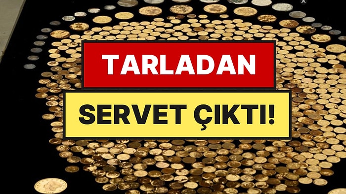 Tarlasında Tesadüfen Bulduğu Servetin Değeri 2 Milyon Doları Aştı