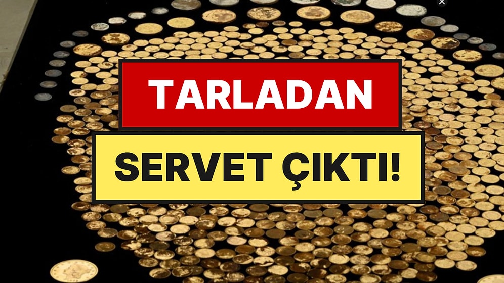 Tarlasında Tesadüfen Bulduğu Servetin Değeri 2 Milyon Doları Aştı