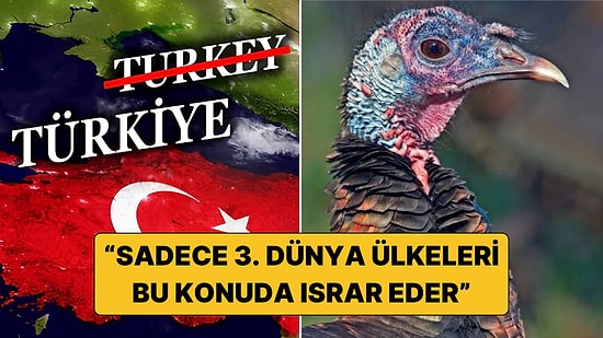 Ekonomist Scott Sumner Türkiye'nin İsim Israrı Üzerine Yaptığı Açıklama Tartışma Yarattı