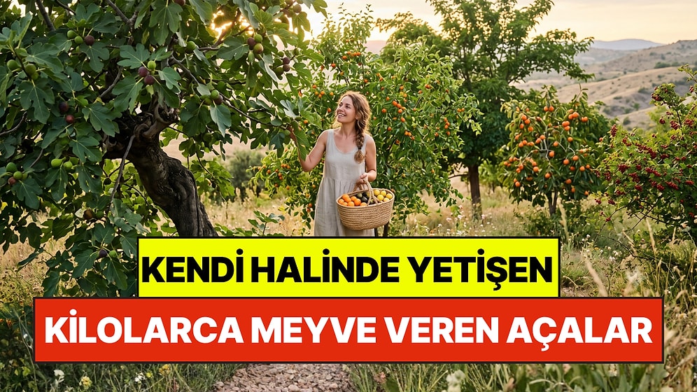 Bahçe Uzmanlarının Favorileri: Kendi Halinde Yetişip Kilolarca Meyve Veren 5 Ağaç