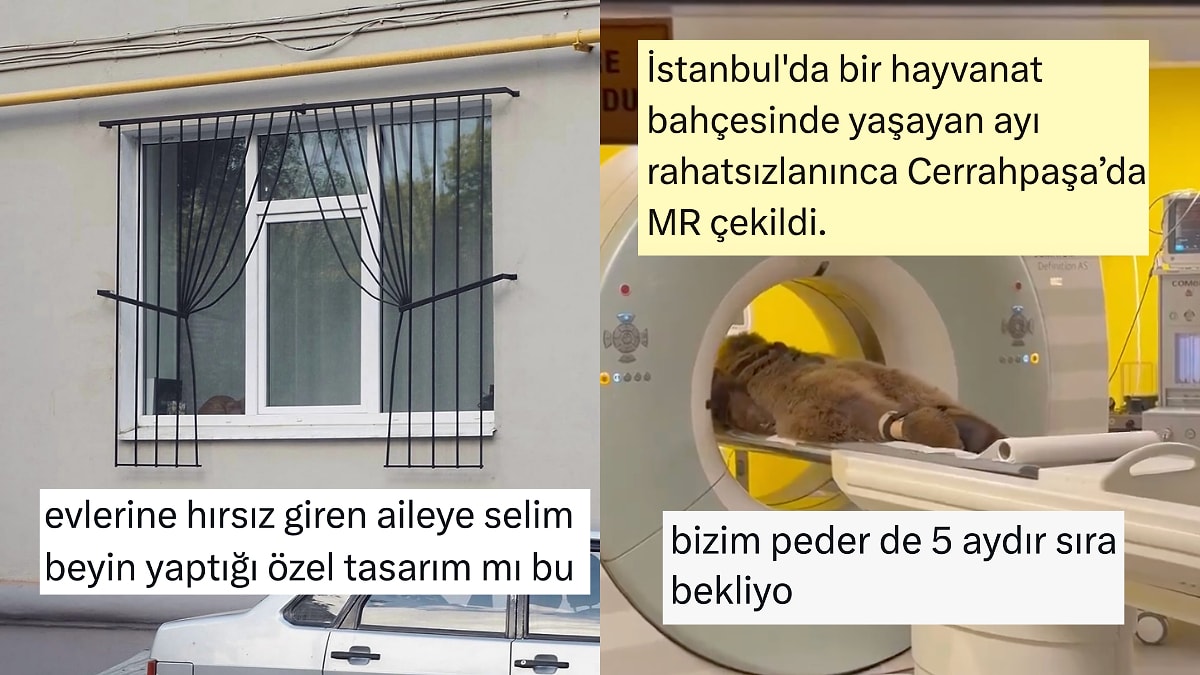 MR'a Giren Ayıdan Travmatik Tasarımlara Son 24 Saatin Viral Tweetleri
