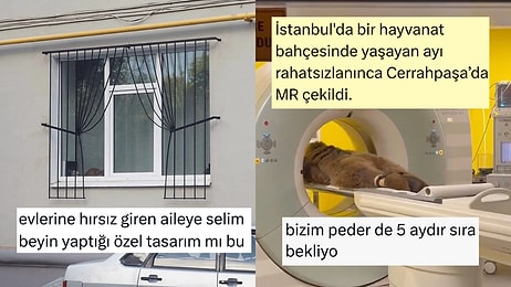 MR'a Giren Ayıdan Travmatik Tasarımlara Son 24 Saatin Viral Tweetleri
