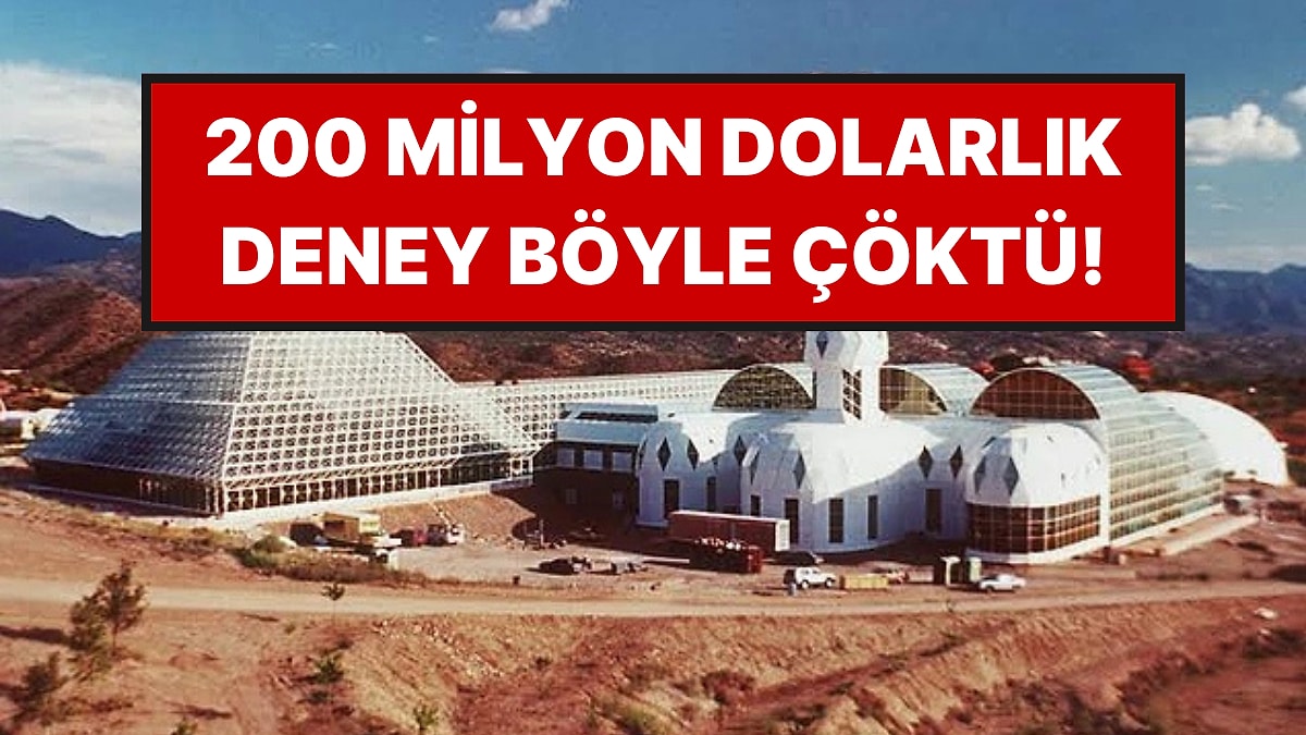 Yapay Dünya Kurdular: Sonu Felaketle Bitti