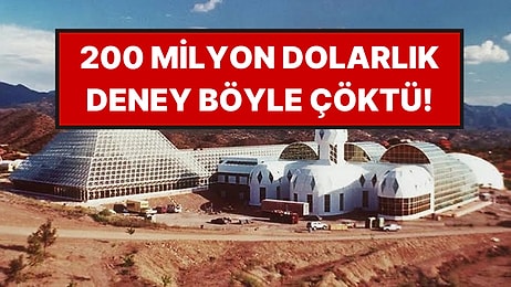 Yapay Dünya Kurdular: Sonu Felaketle Bitti