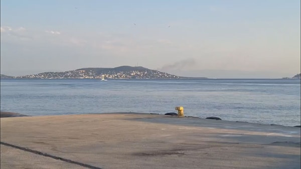 Büyükada’daki Viranbağ Plajı’nda bulunan bir restoranda başlayan yangın kısa sürede büyüyerek çevredeki ormanlık alana yayıldı