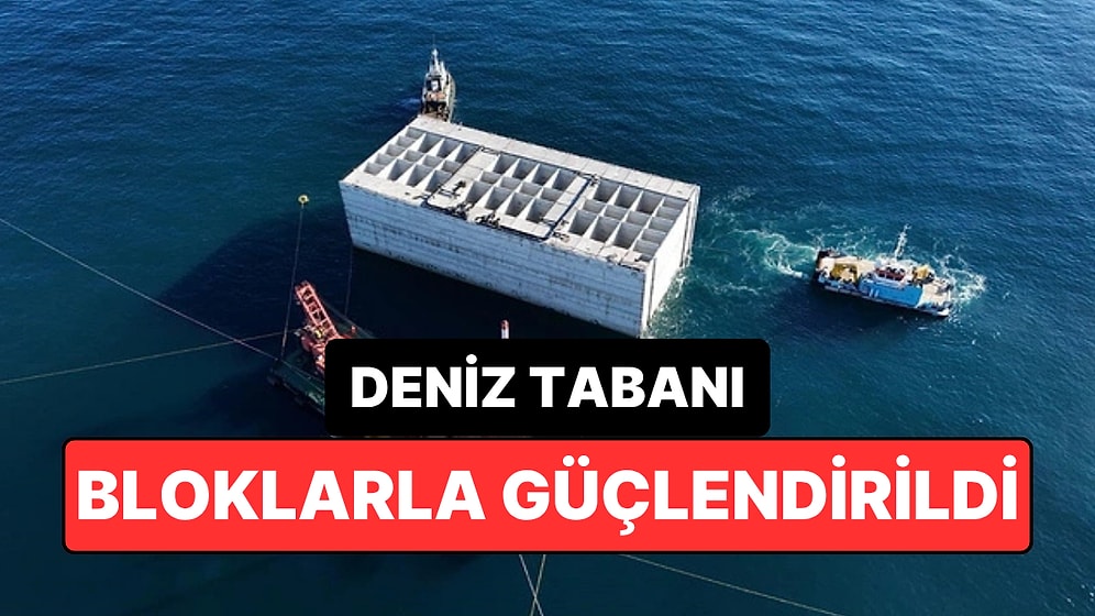 11 Katlı Apartman Büyüklüğündeki Dev Beton Bloklar Denize İndirildi