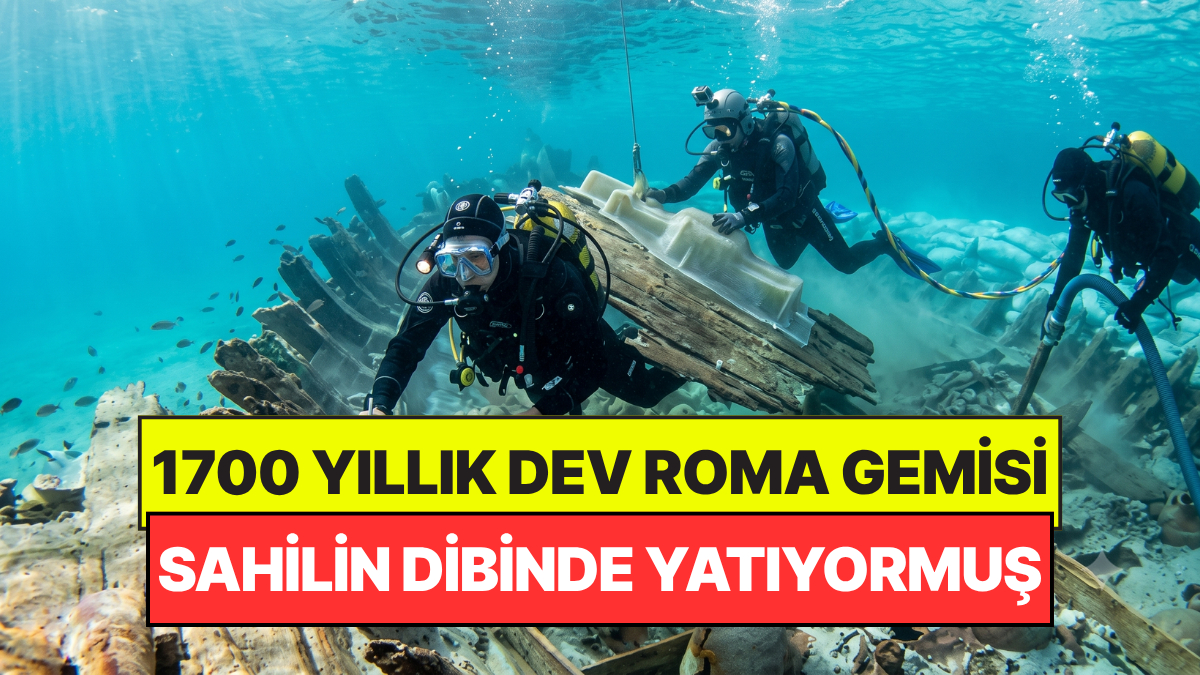 s-852db6e77af0d50b58324b4e684ad1b699525519.jpg
