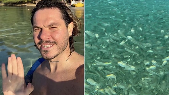 Breathtaking Underwater Views: Massive School of Fish Creates Visual Feast in Fethiye
