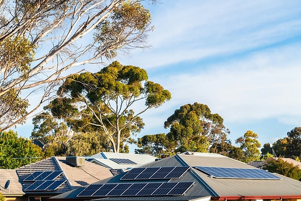 While nearly half of the Australians surveyed showed interest in the program, experts are issuing serious warnings that it may not be beneficial for everyone.