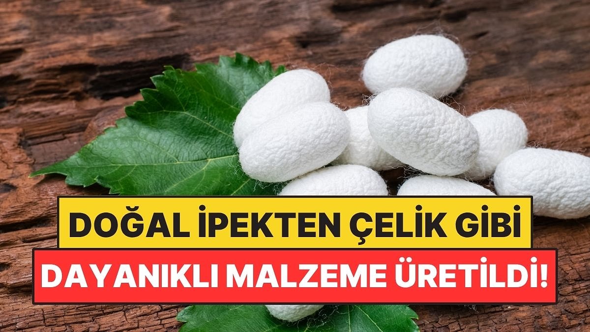Doğal İpekten Çelik Gibi Dayanıklı Malzeme Üretildi