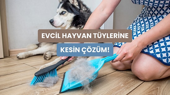 Patili Dostunuzun Tüylerinden En Pratik Şekilde Kurtulmanızı Sağlayacak 10 Yol