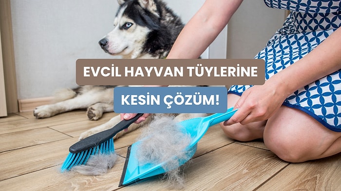 Patili Dostunuzun Tüylerinden En Pratik Şekilde Kurtulmanızı Sağlayacak 10 Yol