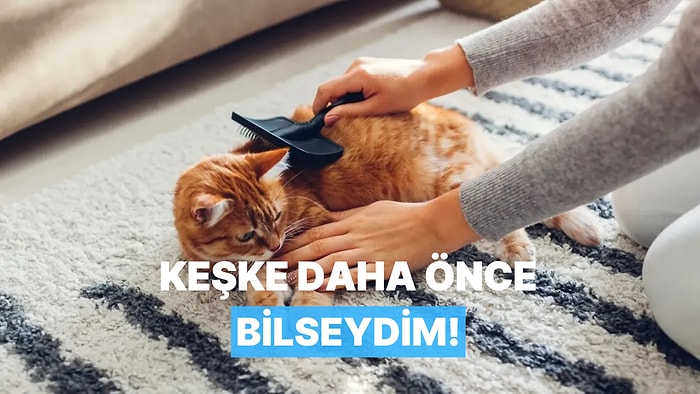 Evcil Hayvan Sahiplerinin Daha Önce Öğrenmediği İçin Hayıflanacağı 10 Temizlik Tüyosu
