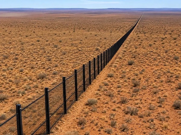 The fences developed by the Australian Wildlife Conservation (AWC) are far from just simple wire mesh.