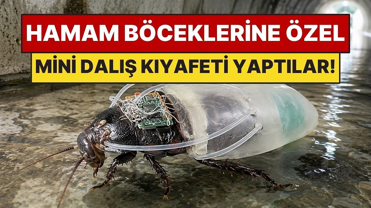 Arama Kurtarma İçin Hamam Böceklerine Dalış Kıyafeti Ürettiler