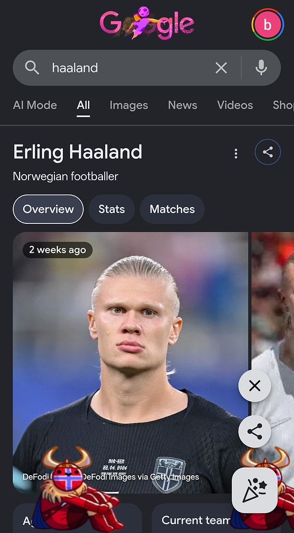 Kürek çeken Norveçliler çıkıyor.