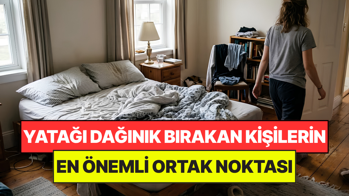 s-22595c56267d40e8ca33ae74212cad636ef43bd5.jpg