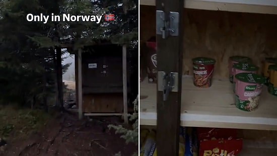 Honesty Test in Scandinavia: Unmanned Mini Market Hut in Norway Mountains Stuns Everyone