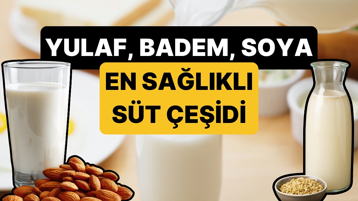 Yulaf, Badem, Hindistan Cevizi... En Sağlıklı Süt Çeşidi Belli Oldu