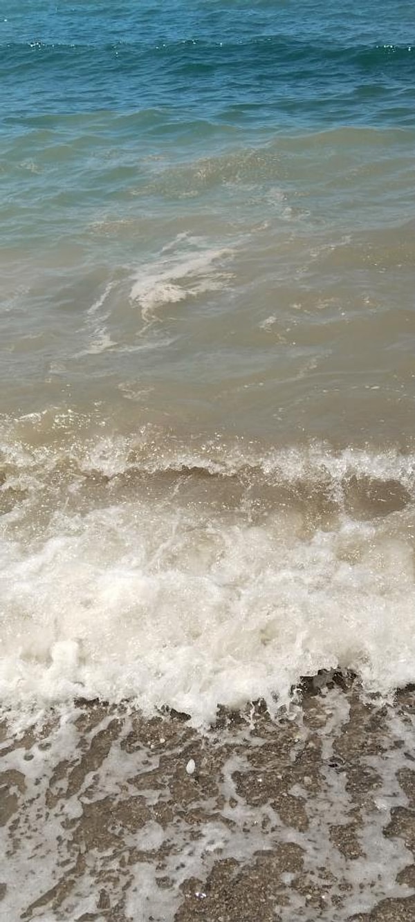Türkiye'nin en gözde turizm merkezlerinden biri olan Bodrum'da, son günlerde artış gösteren ve halk sağlığını tehdit eden deniz kirliliği vakalarına karşı yargı süreci başlatıldı.