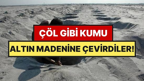 Çöl Kumunu Altına Çevirdiler: 100 Bin Ton Üreten O Mucize Yöntem!