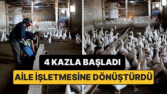 4 Kazla Kurduğu İşletmede Yılda 800 Yavru Kaz Yetiştiriyor