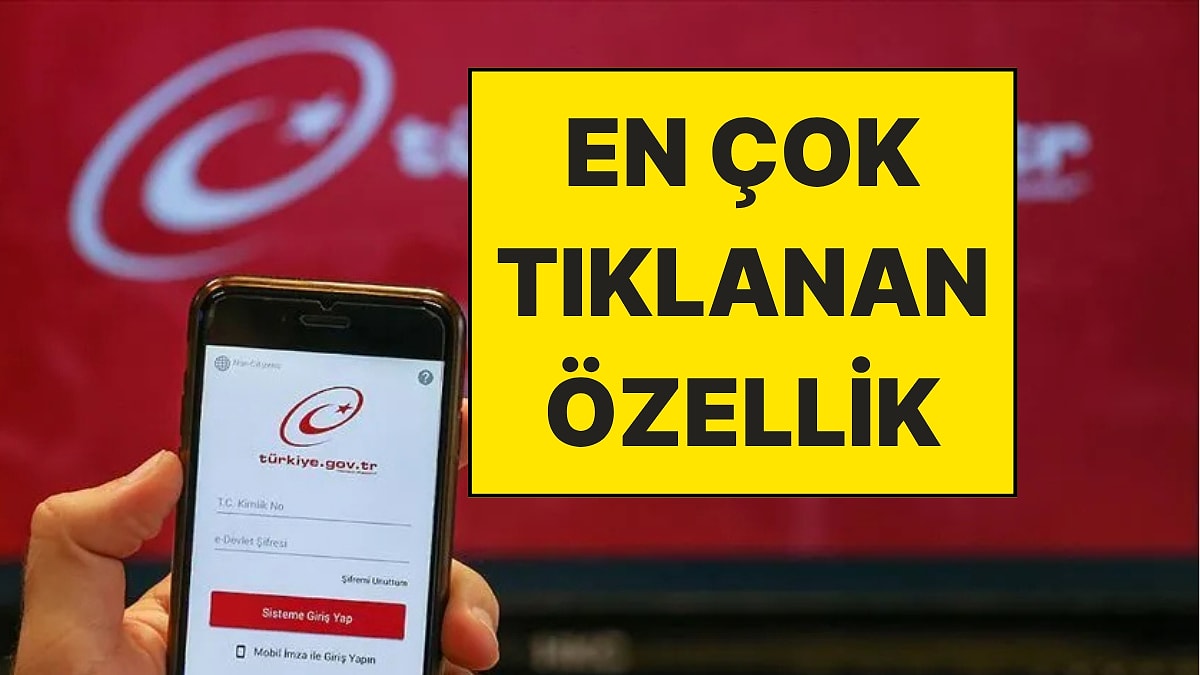 E-Devlet Rekor Kırdı: Vatandaşların En Çok Neye Tıkladığı Belli Oldu