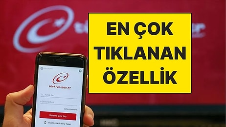 E-Devlet Rekor Kırdı: Vatandaşların En Çok Neye Tıkladığı Belli Oldu