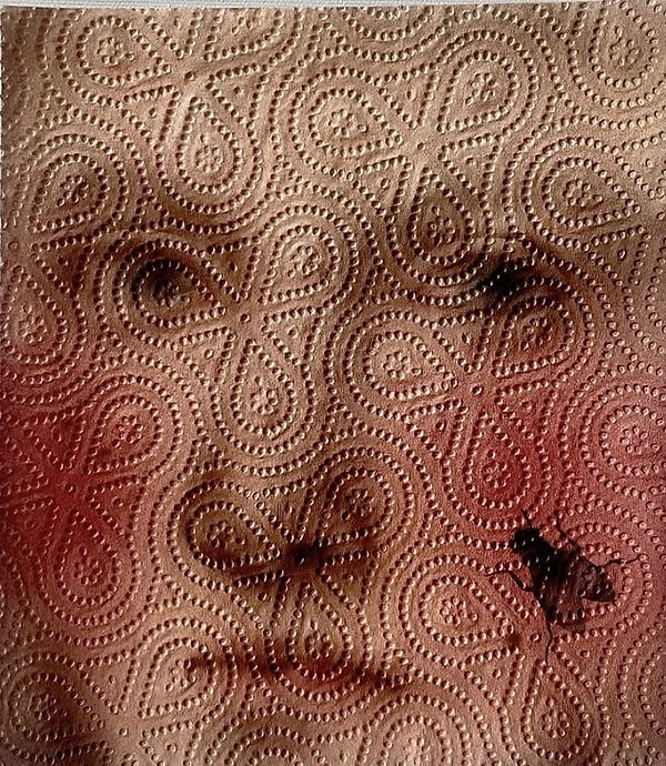 Renaissance Aesthetics on Paper Towel