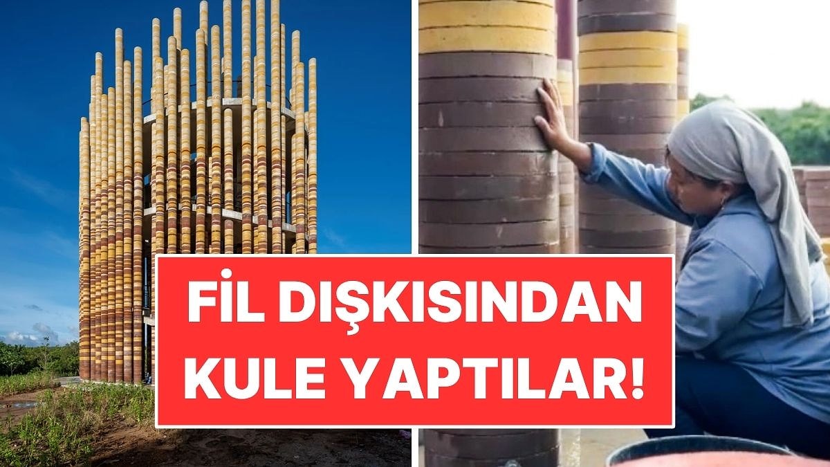 Bir Yıl Boyunca Fil Dışkısından Tuğla Üretip Kule Yaptılar!