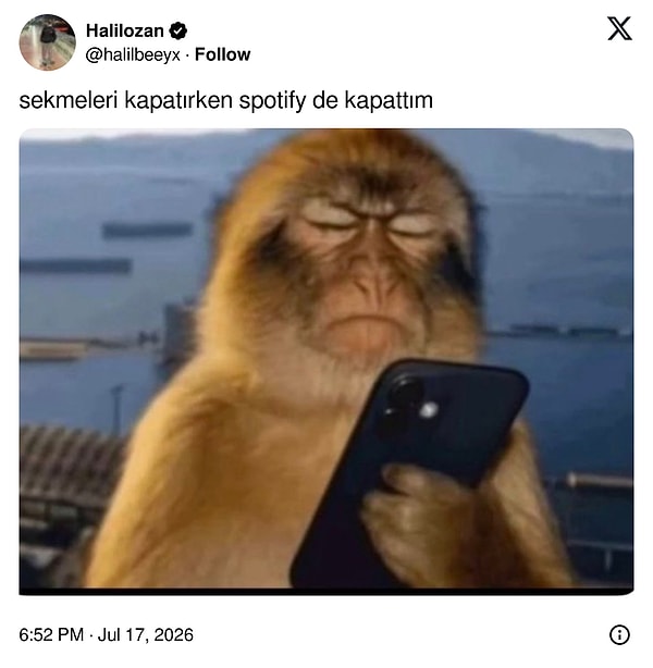 Bütün heves de gider...