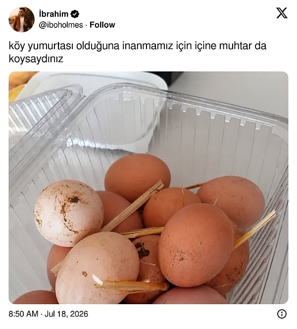 Gereken tüm detaylar tamam.