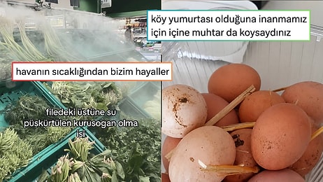 Battaniyesiz Uyumanın Verdiği Histen Uzun Yolculukta Verilen İlk Molaya Son 24 Saatin Viral Tweetleri