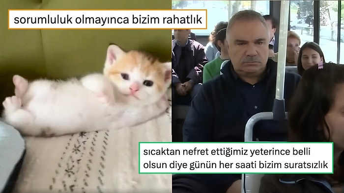 Planlandığı Gibi Gitmeyen Yaz Mevsiminden Kedilerin Hiç Bitmeyen Mesaisine Son 24 Saatin Viral Tweetleri